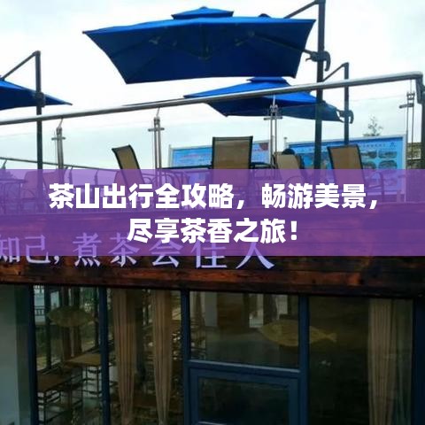 茶山出行全攻略，畅游美景，尽享茶香之旅！