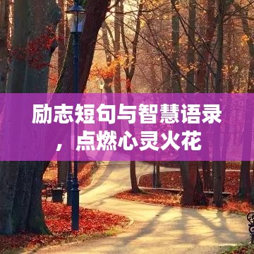 励志短句与智慧语录，点燃心灵火花