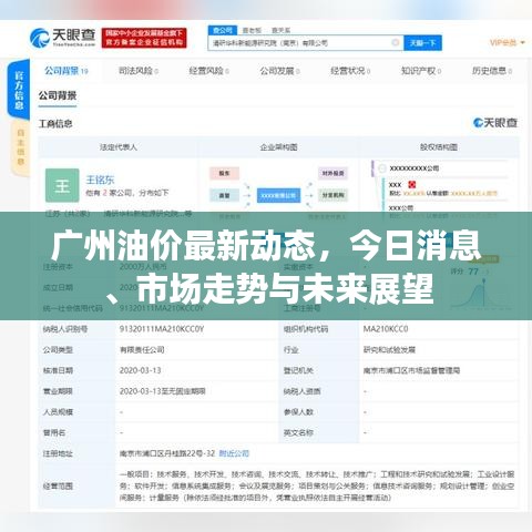 广州油价最新动态，今日消息、市场走势与未来展望