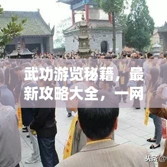 武功游览秘籍，最新攻略大全，一网打尽！
