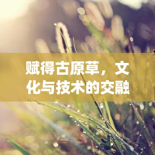 蹑蹻檐簦