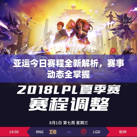 毛手毛脚