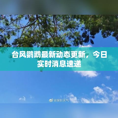2025年6月5日 第48页