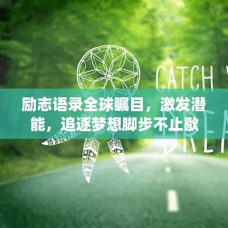 新闻动态 第500页