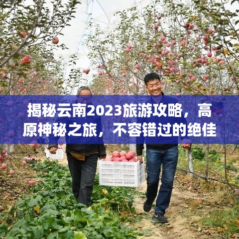 揭秘云南2023旅游攻略，高原神秘之旅，不容错过的绝佳探险！
