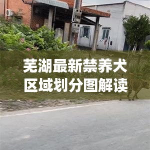 芜湖最新禁养犬区域划分图解读揭秘