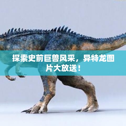 探索史前巨兽风采，异特龙图片大放送！