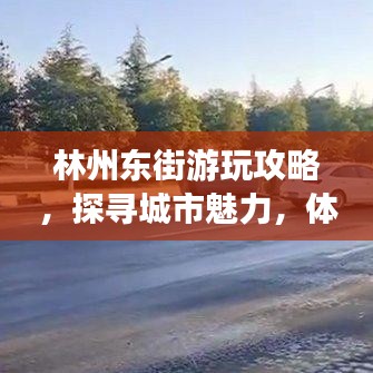 林州东街游玩攻略，探寻城市魅力，体验独特风情