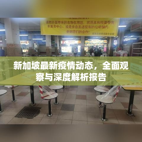 新加坡最新疫情动态，全面观察与深度解析报告
