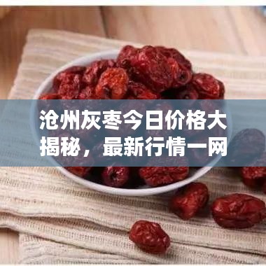 沧州灰枣今日价格大揭秘，最新行情一网打尽！