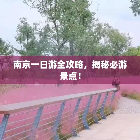 南京一日游全攻略，揭秘必游景点！
