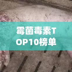 霉菌毒素TOP10榜单，揭秘危害健康的隐形杀手！