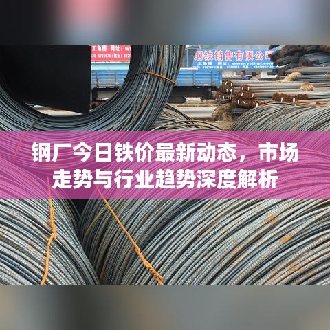 钢厂今日铁价最新动态，市场走势与行业趋势深度解析