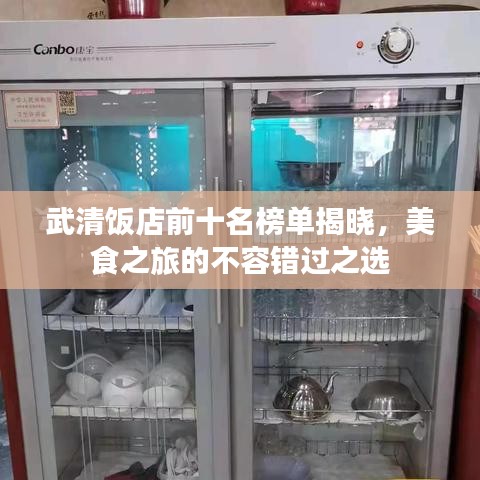 武清饭店前十名榜单揭晓，美食之旅的不容错过之选