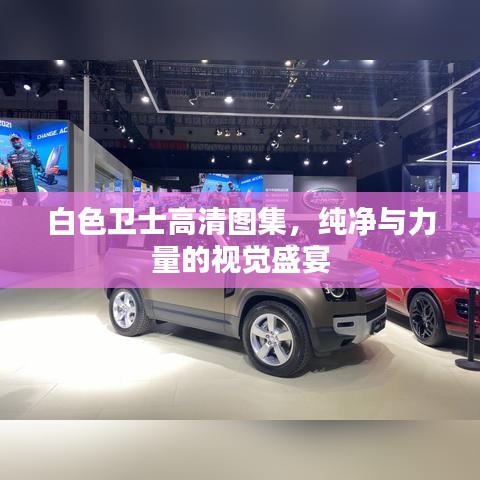 白色卫士高清图集，纯净与力量的视觉盛宴