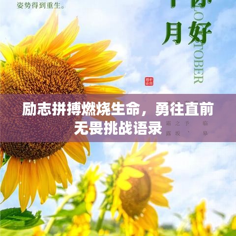 励志拼搏燃烧生命，勇往直前无畏挑战语录