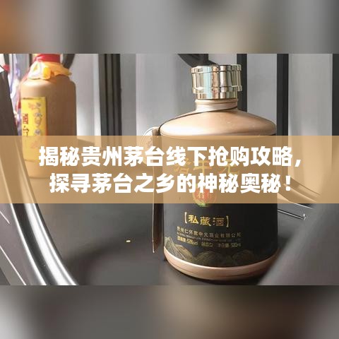 揭秘贵州茅台线下抢购攻略，探寻茅台之乡的神秘奥秘！