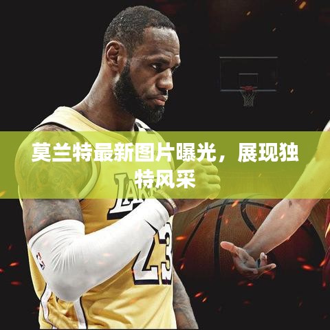莫兰特最新图片曝光，展现独特风采