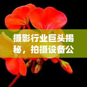 摄影行业巨头揭秘，拍摄设备公司排名榜单重磅出炉！