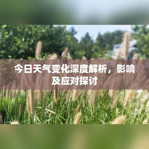今日天气变化深度解析，影响及应对探讨