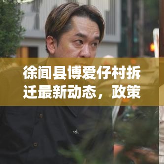 徐闻县博爱仔村拆迁最新动态，政策解读与进展速览