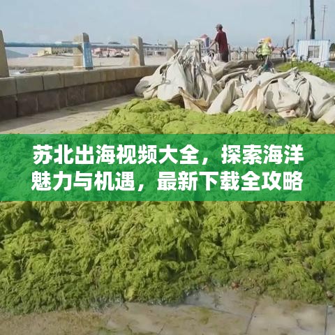 2025年5月5日 第16页