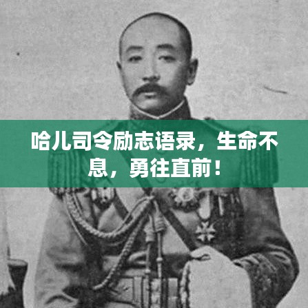 哈儿司令励志语录，生命不息，勇往直前！