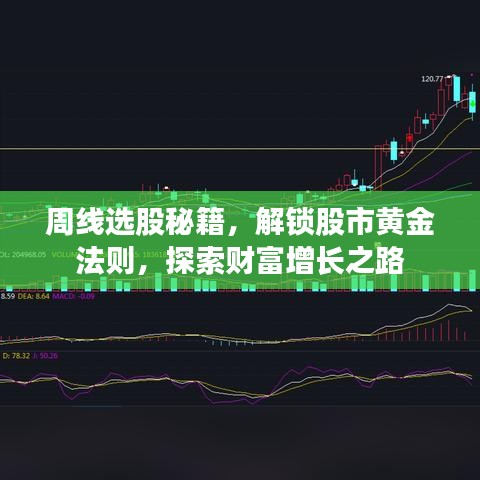 周线选股秘籍，解锁股市黄金法则，探索财富增长之路