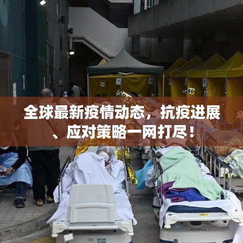 全球最新疫情动态，抗疫进展、应对策略一网打尽！