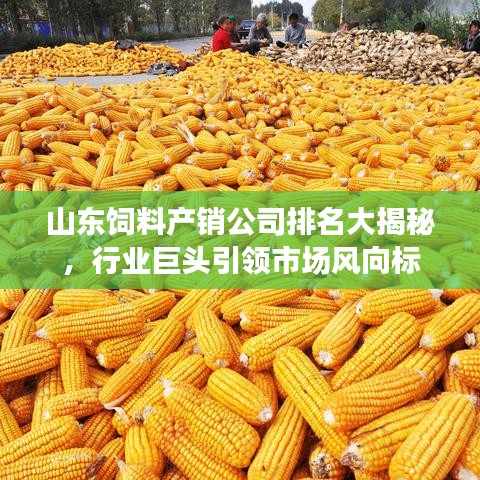 山东饲料产销公司排名大揭秘，行业巨头引领市场风向标