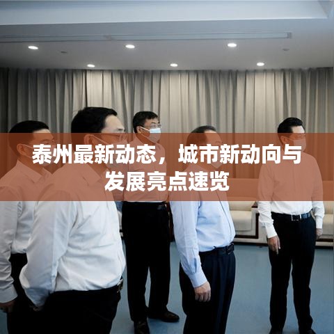 泰州最新动态，城市新动向与发展亮点速览
