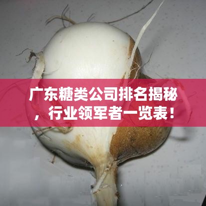 广东糖类公司排名揭秘，行业领军者一览表！
