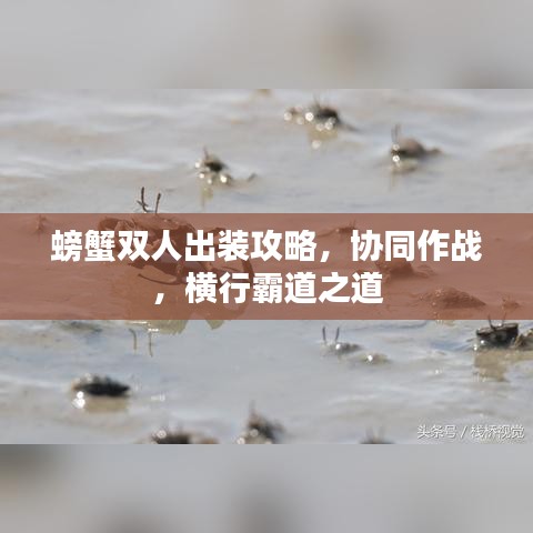 2025年5月8日 第28页