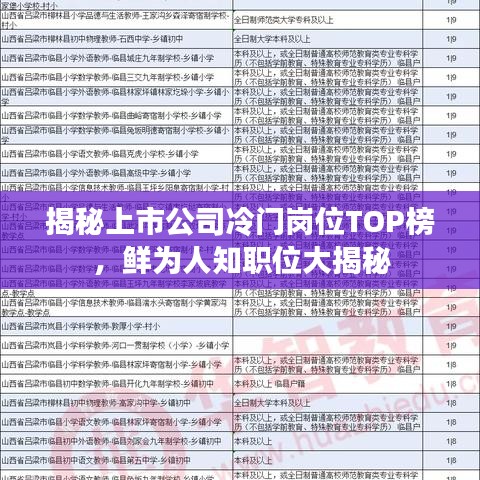 揭秘上市公司冷门岗位TOP榜，鲜为人知职位大揭秘