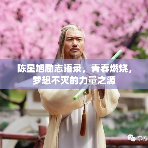 陈星旭励志语录，青春燃烧，梦想不灭的力量之源