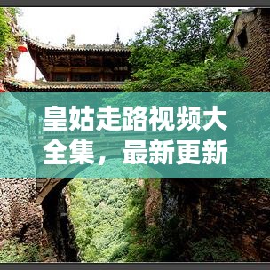 皇姑走路视频大全集，最新更新，一览无余
