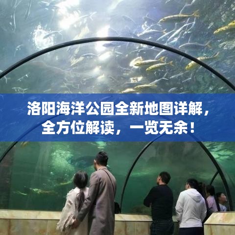 洛阳海洋公园全新地图详解，全方位解读，一览无余！