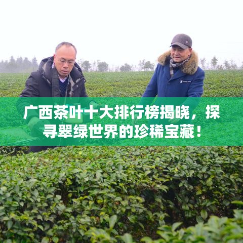广西茶叶十大排行榜揭晓，探寻翠绿世界的珍稀宝藏！