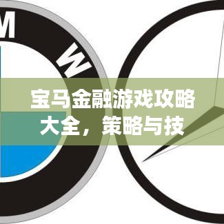 宝马金融游戏攻略大全，策略与技巧助你轻松玩转金融游戏！