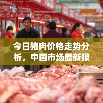 今日猪肉价格走势分析，中国市场最新报价及趋势预测