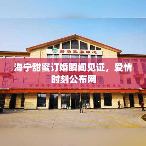 海宁甜蜜订婚瞬间见证，爱情时刻公布网