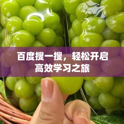 百度搜一搜，轻松开启高效学习之旅