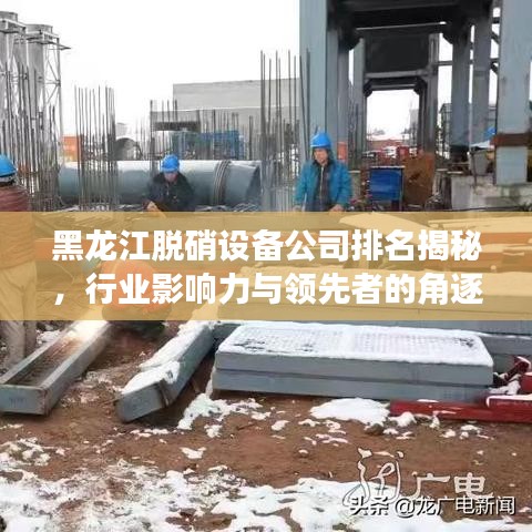 黑龙江脱硝设备公司排名揭秘，行业影响力与领先者的角逐