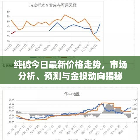 纯碱今日最新价格走势，市场分析、预测与金投动向揭秘