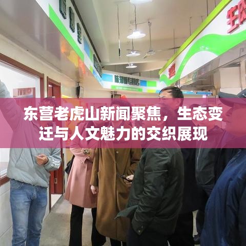 东营老虎山新闻聚焦，生态变迁与人文魅力的交织展现