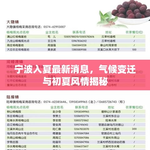 2025年5月14日 第29页