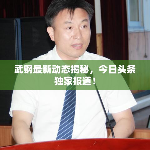 武钢最新动态揭秘，今日头条独家报道！