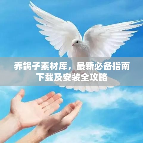 2025年5月15日 第25页