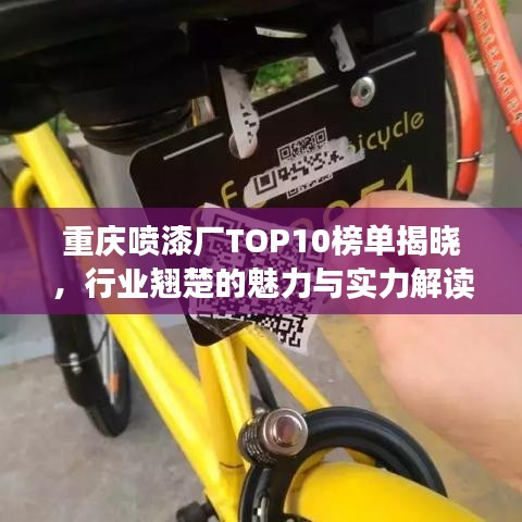 重庆喷漆厂TOP10榜单揭晓，行业翘楚的魅力与实力解读