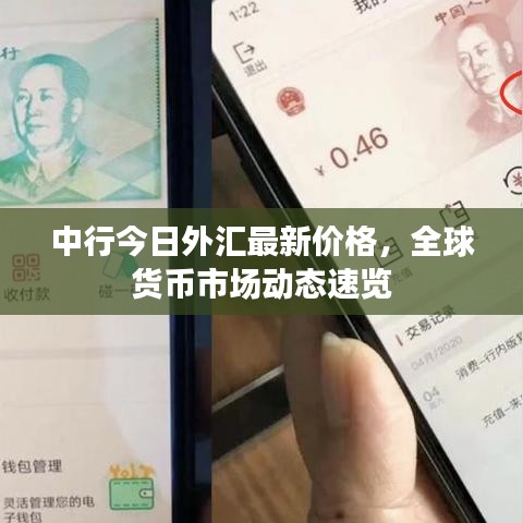中行今日外汇最新价格，全球货币市场动态速览